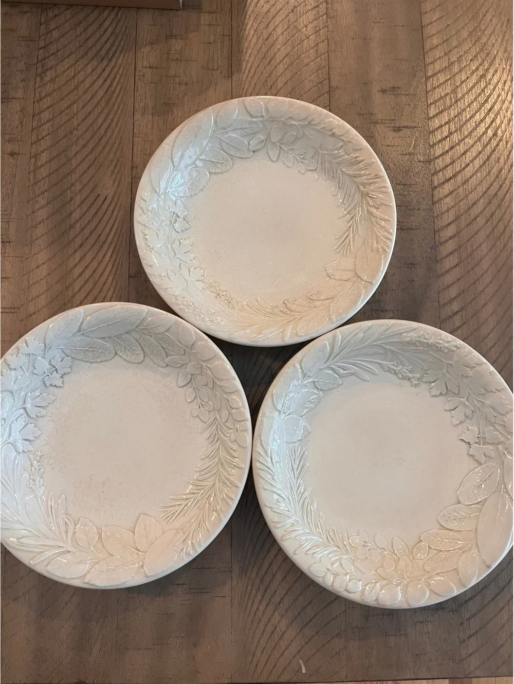 Williams-Sonoma Herb 9” Pasta Bowls Set of 3 Embossed Botanical Made in Italy